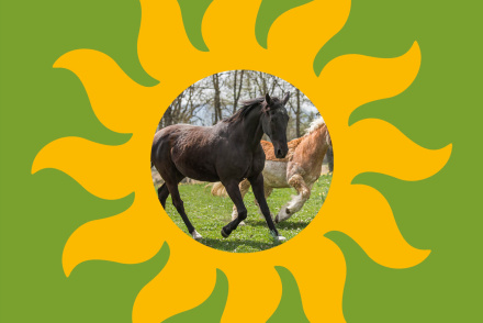 Seniorenausflug-2018