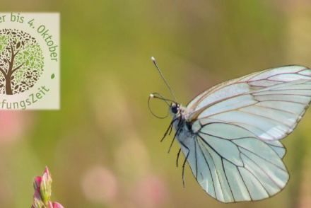 Schöpfungszeit 2024