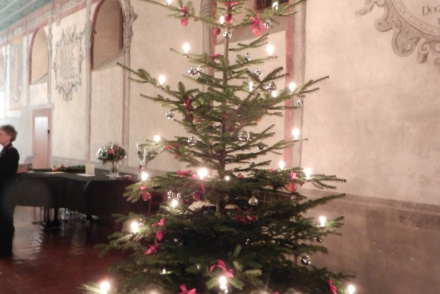 Weihnachtsbaum-Muenstersaal