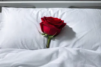 Bild Einzahlungsscheinbeilage Rose im Bett (Foto: Matthias Zehnder) Bild Einzahlungsscheinbeilage Rose im Bett (Foto: Matthias Zehnder)