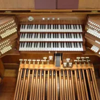 Orgel Zwinglihaus (Guni Wolf)